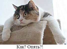 течка после кастрации